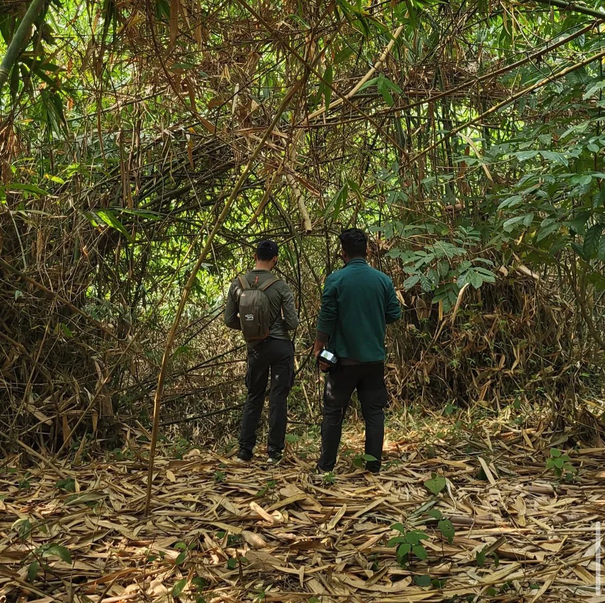 whatsapp image 2026 02 08 at 3.23.57 pm