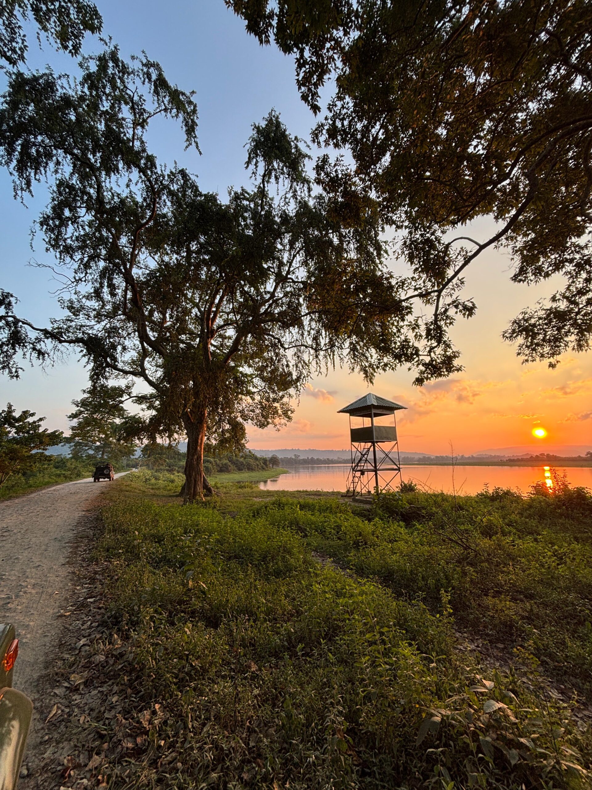 whatsapp image 2026 02 13 at 7.19.17 pm